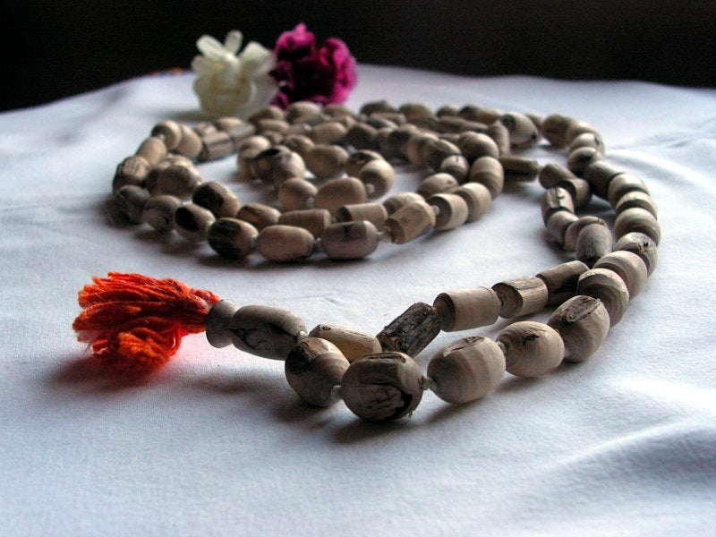 The Incomparable Herb: The Ancient History and Stories Behind Tulsi