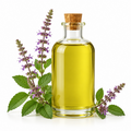 Holy Basil (Tulsi) Pure Essential Oil
